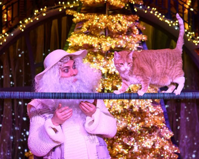 Рождественская история