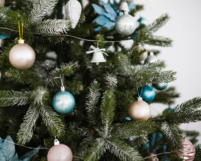 Новый год в стране букв